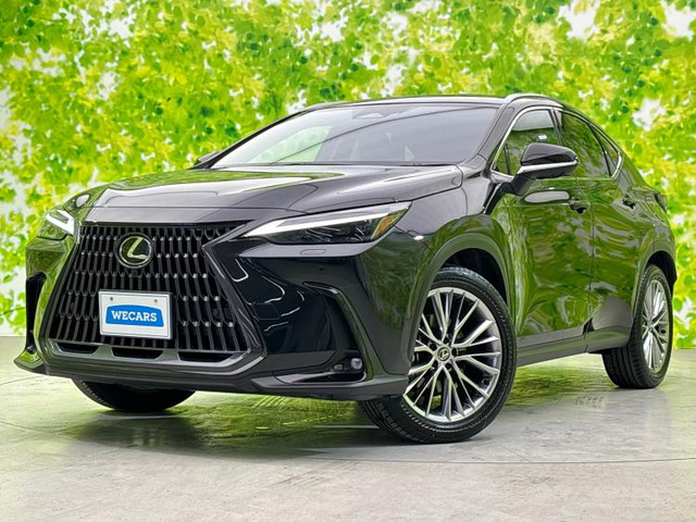 NX 250 バージョンL 