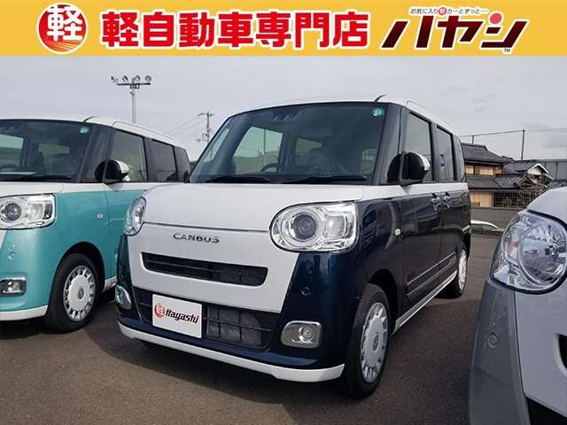 ムーヴキャンバス  ストライプス G