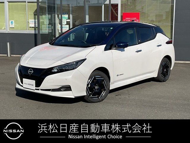 リーフ e+ X 