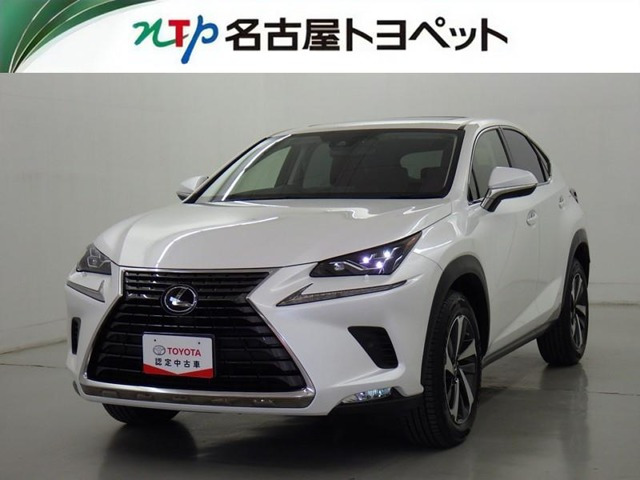 NX 300 Iパッケージ 