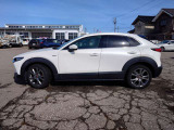 CX-30 2.0 20S 100周年特別記念車 