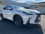 NX 250 バージョンL NX 250 バージョンL