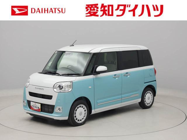 ムーヴキャンバス  ストライプス G