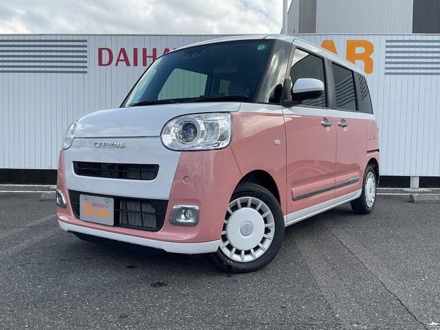 ムーヴキャンバス  ストライプス G