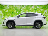 NX 300h Fスポーツ 