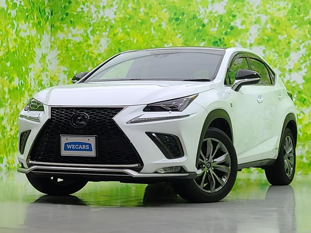 NX 300h Fスポーツ 