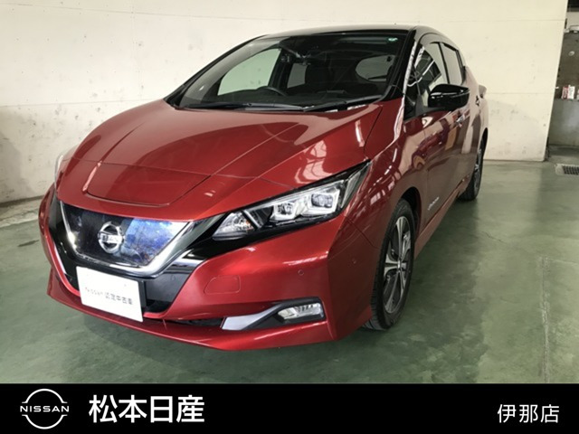 リーフ G 