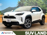 レーダークルーズ 全周囲カメラ Bluetooth再生