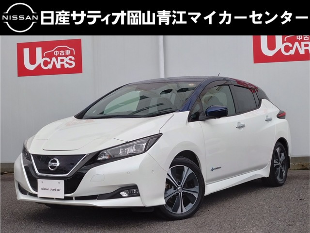 リーフ G 