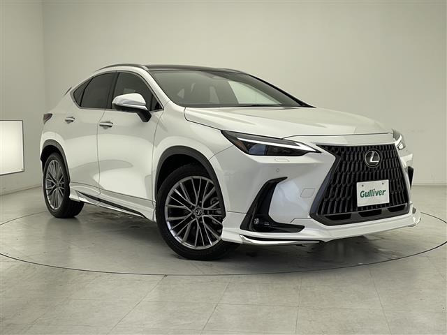NX 250 バージョンL 本革シート サンルーフ
