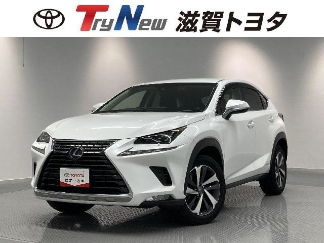 NX 300h Iパッケージ 