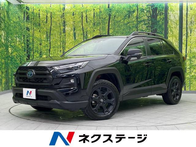 RAV42.5 ハイブリッド アドベンチャー オフロードパッケージ II E-Four 4WD