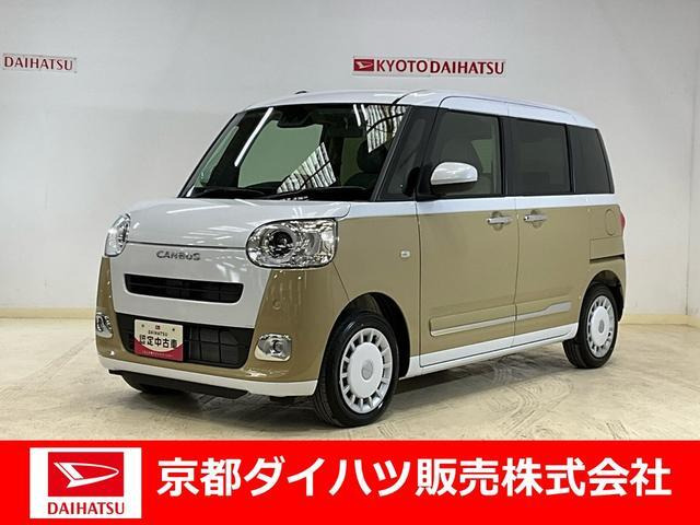 ムーヴキャンバス  ストライプス G