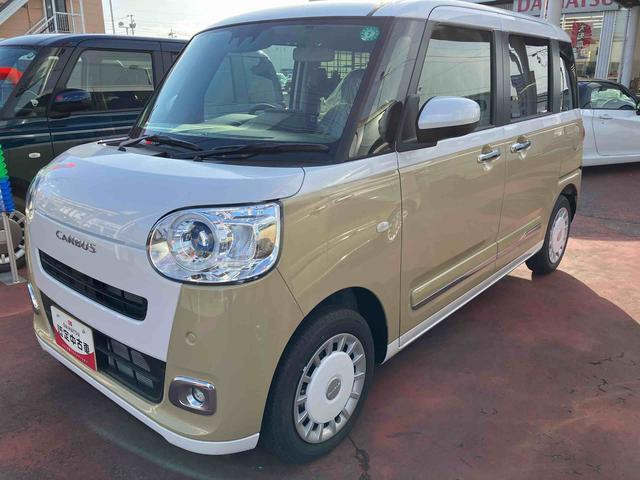 ムーヴキャンバス  ストライプス G