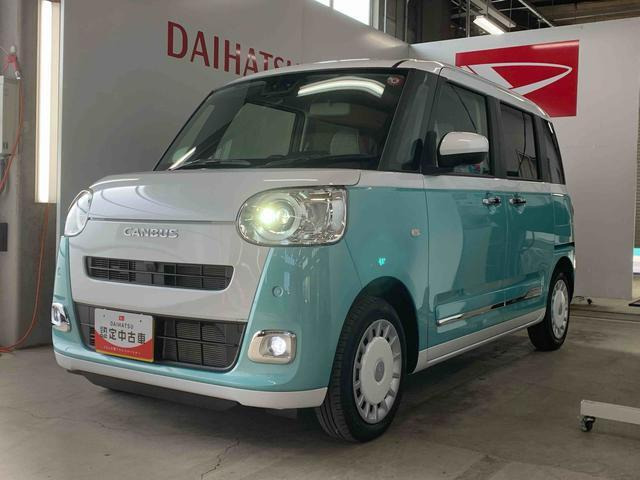 ムーヴキャンバス  ストライプス G