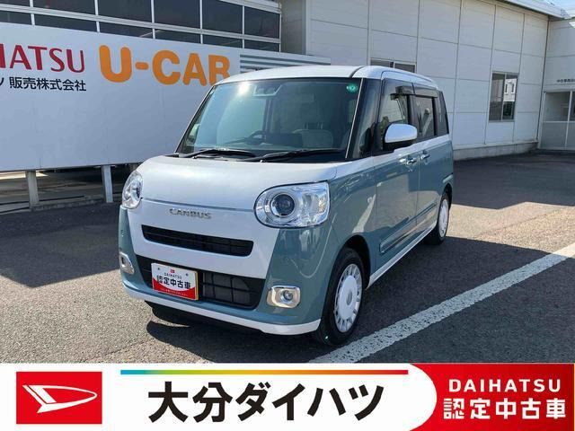 ムーヴキャンバス  ストライプス G
