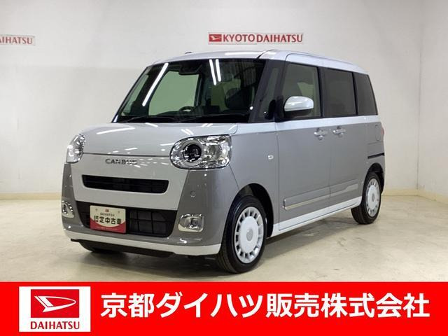 ムーヴキャンバス  ストライプス G