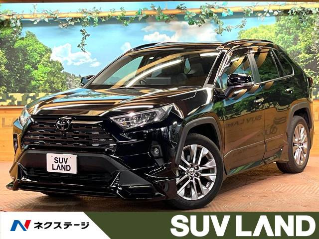 RAV4  G Zパッケージ