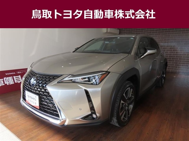 UX 250h バージョンC 