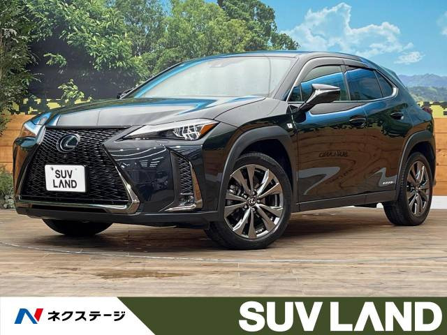 UX 250h Fスポーツ 
