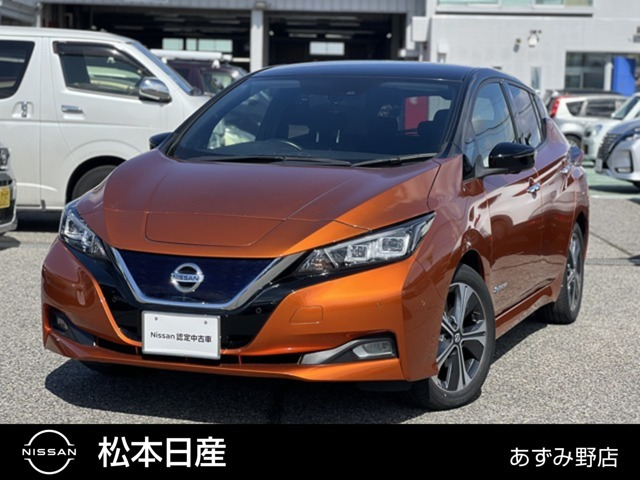 リーフ G 