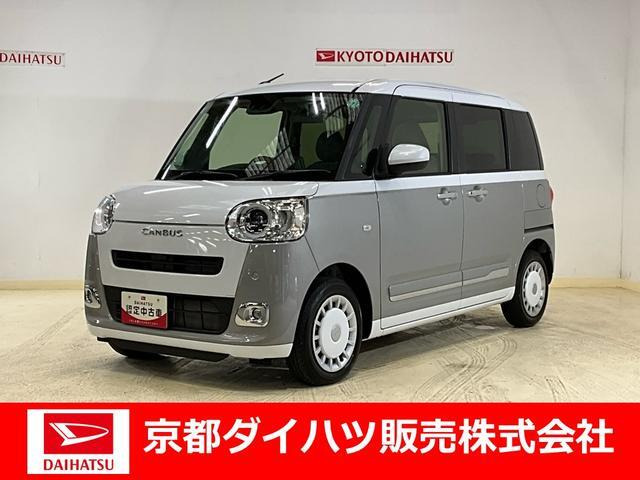 ムーヴキャンバス  ストライプス G