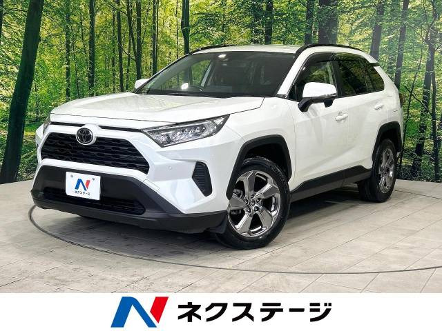RAV4 2.0 X 