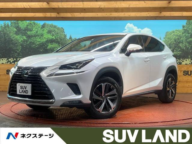 NX 200t Iパッケージ 