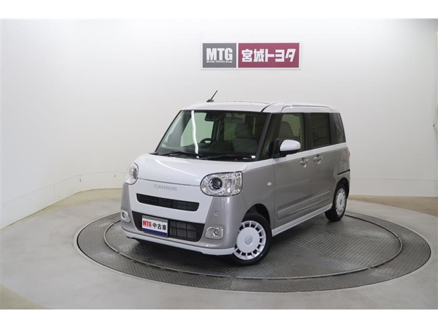 ムーヴキャンバス  ストライプス G