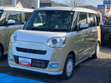 ムーヴキャンバス  ストライプス G