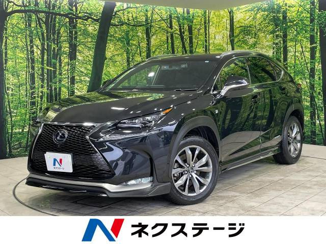NX 300h Fスポーツ 