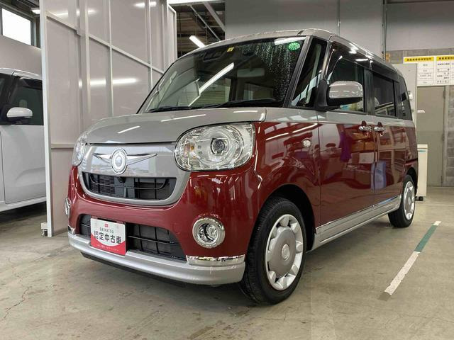 ムーヴキャンバス G メイクアップ SAIII 