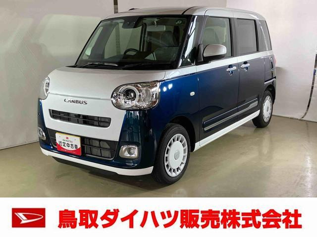 ムーヴキャンバス  ストライプス G