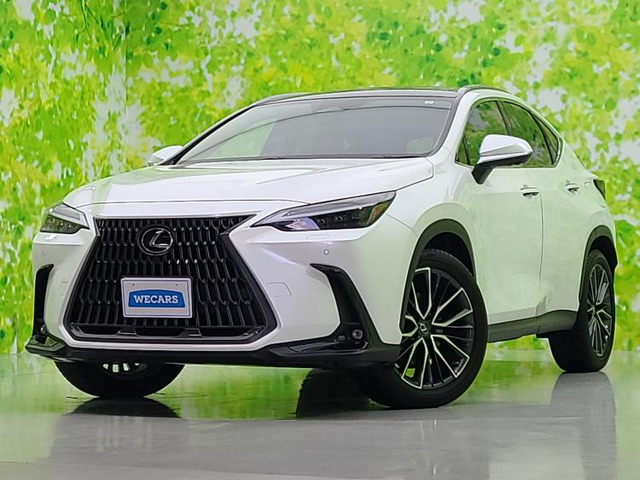 NX 250 バージョンL 