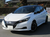 【NISSAN INTELLIGENT MOBILITY】最先端の技術で、あなたを未来のワクワクへと導く。それが日産のインテリジェント モビリティ