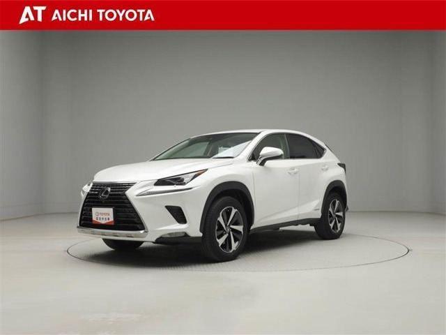 NX 300h バージョンL 