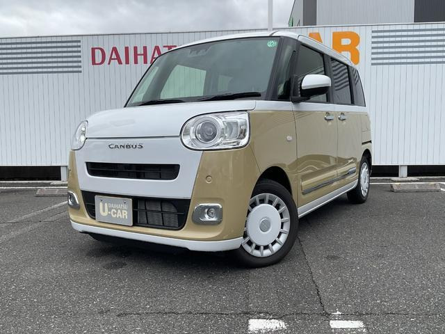 ムーヴキャンバス  ストライプス G