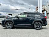 RAV4 2.0 アドベンチャー 4WD 