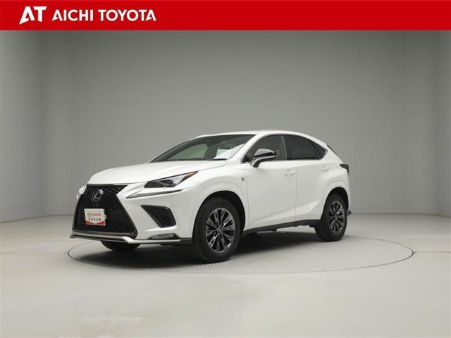 NX 300 4WD クール&ブライト 4WD