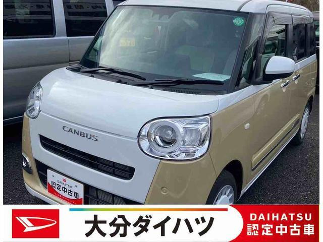 ムーヴキャンバス  ストライプス G