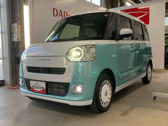 ムーヴキャンバス  ストライプス G