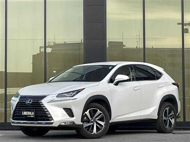NX 300 Iパッケージ 4WD 本革シート