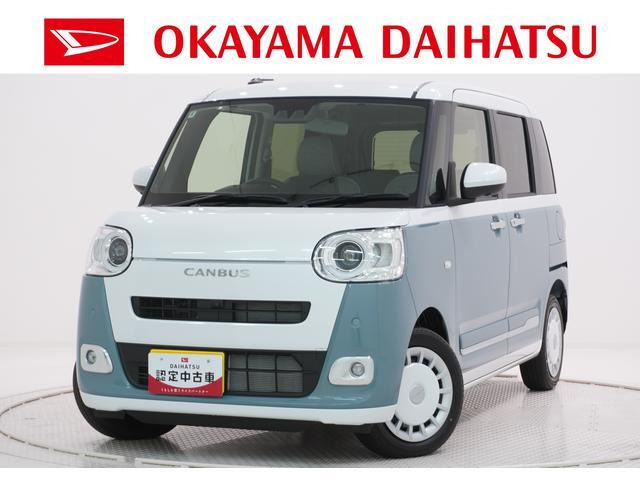 ムーヴキャンバス  ストライプス G