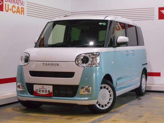 ムーヴキャンバス  ストライプス G