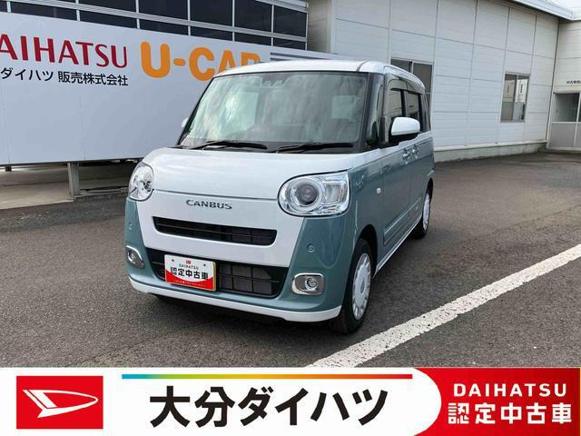 ムーヴキャンバス  ストライプス G