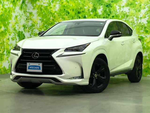 NX 200t アーバンスタイル 