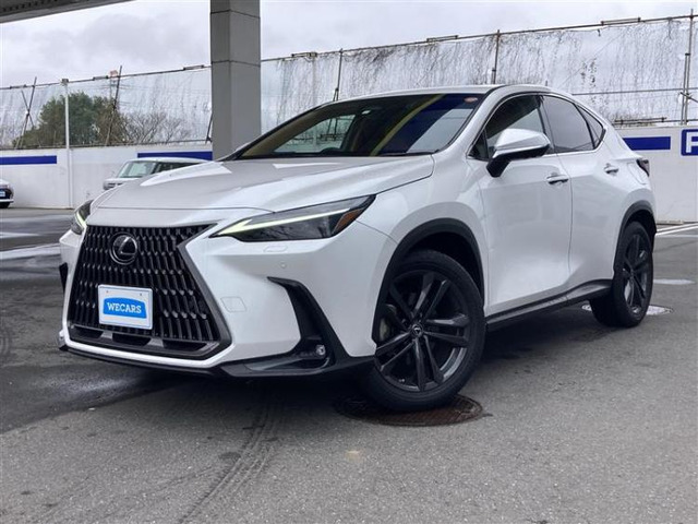 NX 250 バージョンL 