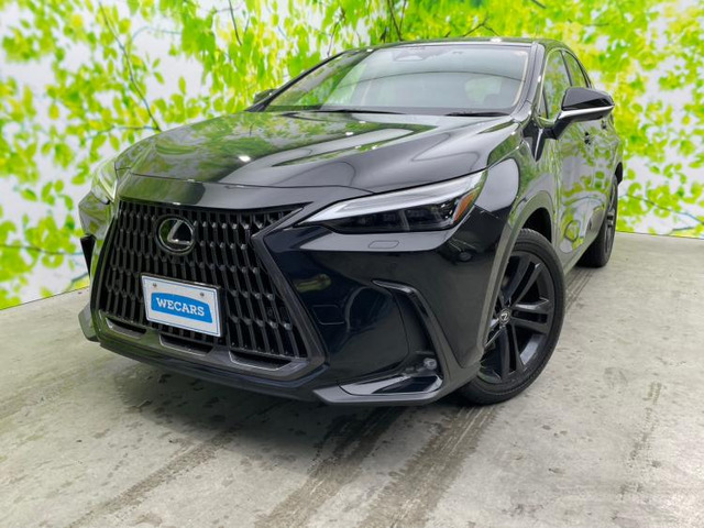 NX 250 バージョンL 