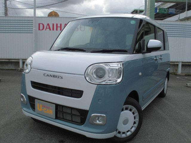 ムーヴキャンバス  ストライプス G