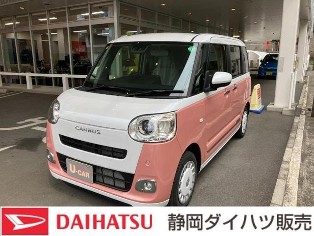 ムーヴキャンバス  ストライプス G